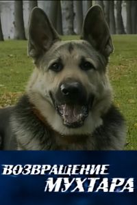 Возвращение Мухтара 2 сезон